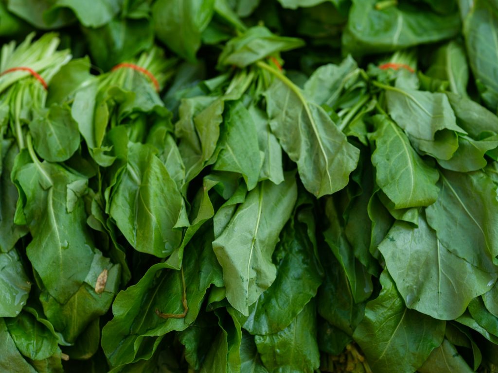 11 Best Chlorophyll-Rich Foods for People Needing Detoxification