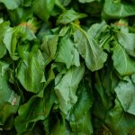 12 Best Foods for Reducing the Risk of Alzheimer’s Disease