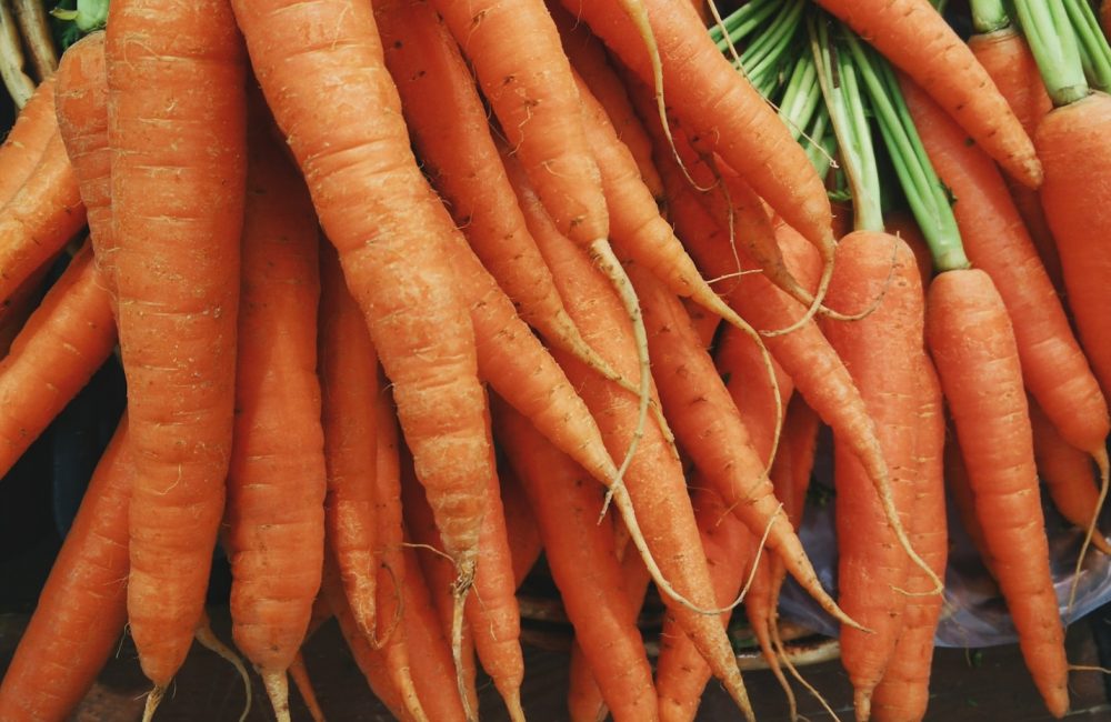 closeup photo of bunch of orange carrots
