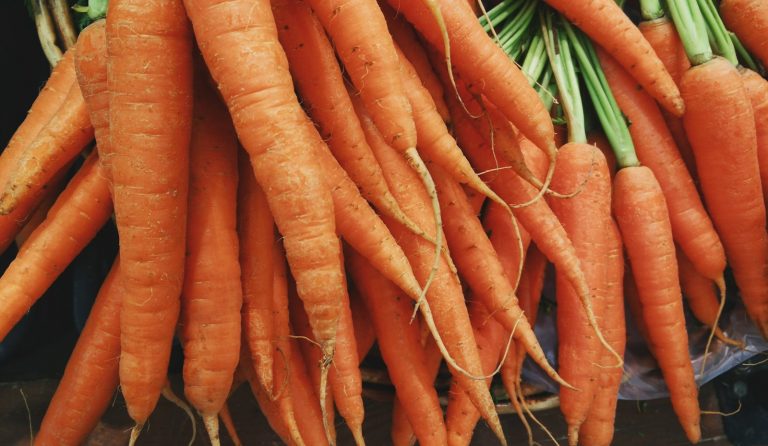 16 Best Foods High in Vitamin A for People Seeking Eye Health
