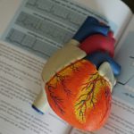 13 Best Foods High in Cholesterol to Monitor for Heart Health