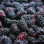 12 Best Health Benefits of Marionberry