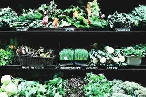 15 Benefits of Green Vegetables in Detoxification