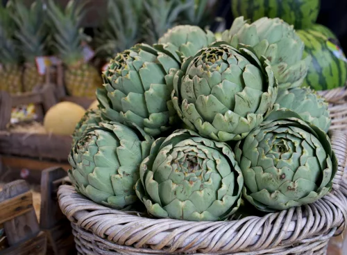 Artichokes