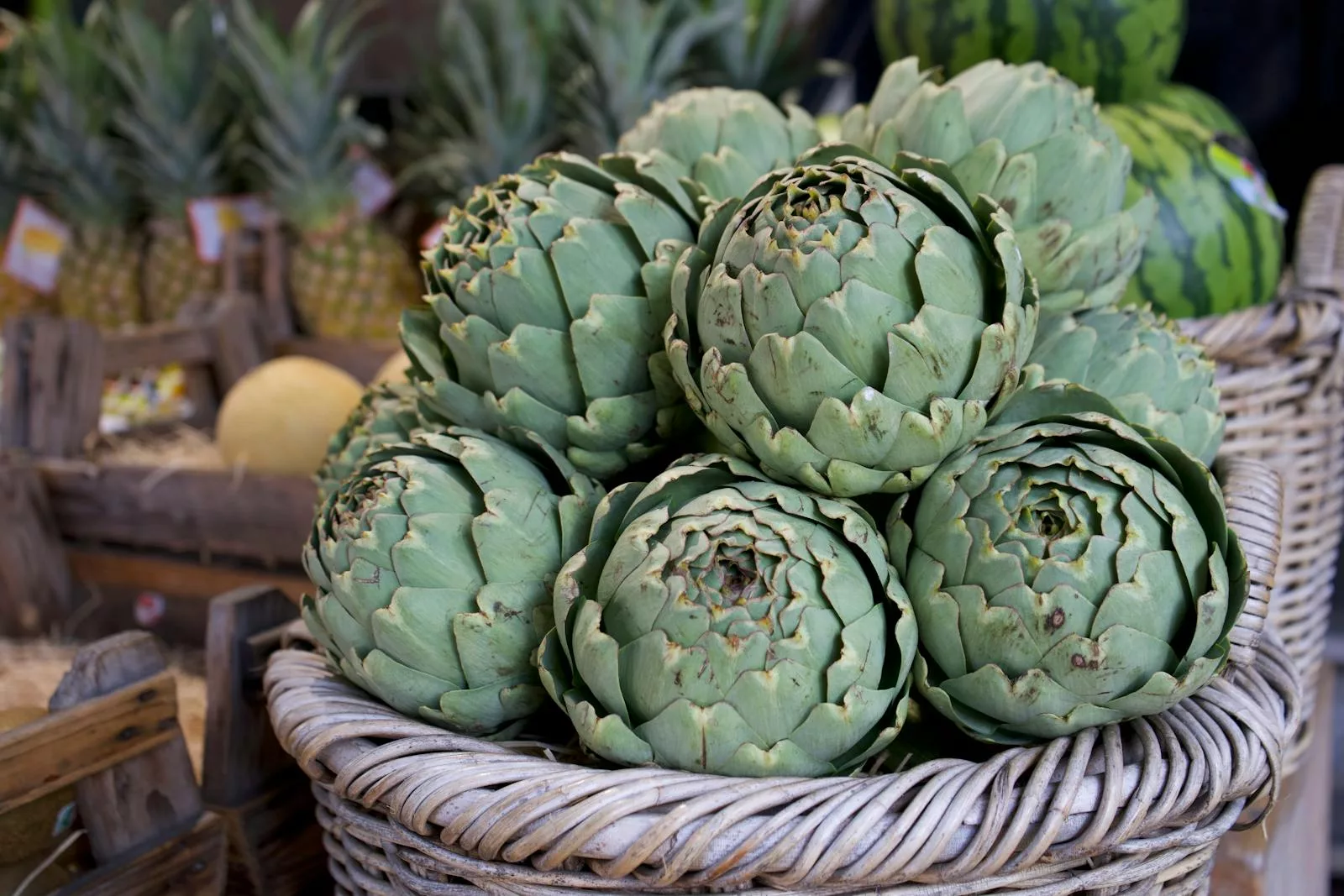 Artichokes