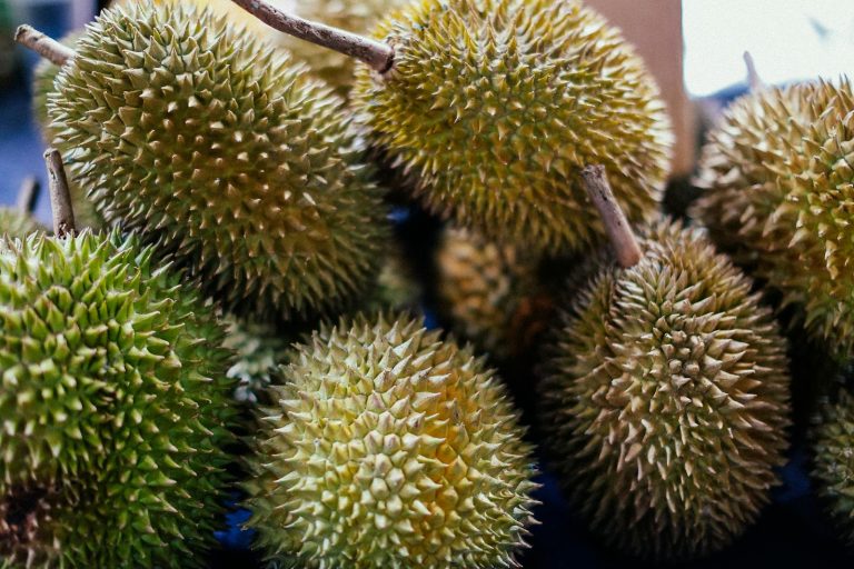 10 Best Health Benefits of Durian for Men