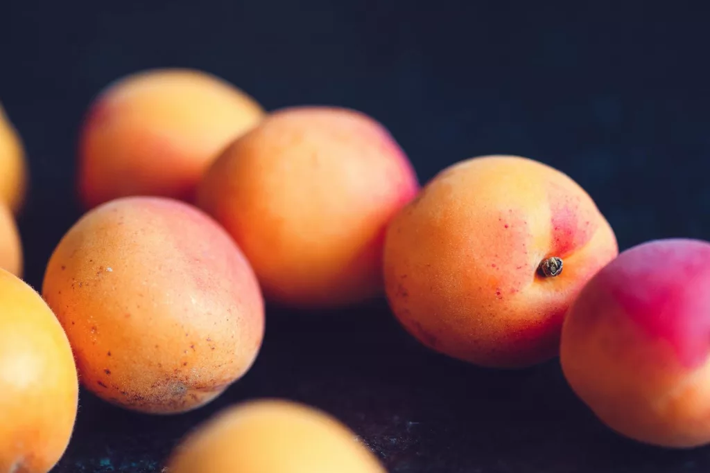 13 Best Health Benefits of Apricot for Women 1 13 Best Health Benefits of Apricot for Women