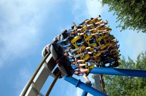 Motion Sickness Explained: The Science Behind Your Discomfort