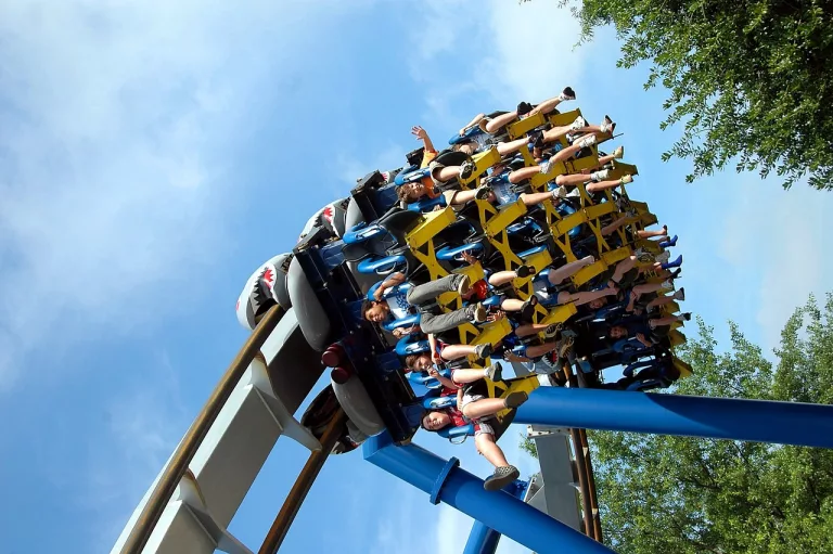 Why Do We Get Motion Sickness? Understanding the Physiological Mechanisms Behind Motion-Induced Discomfort
