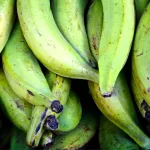 15 Best Health Benefits of Plantain for Children