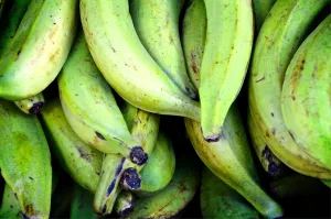 15 Best Health Benefits of Plantain for Children