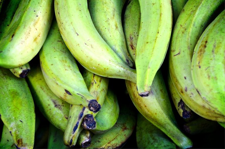 16 Best Health Benefits of Plantain for Men