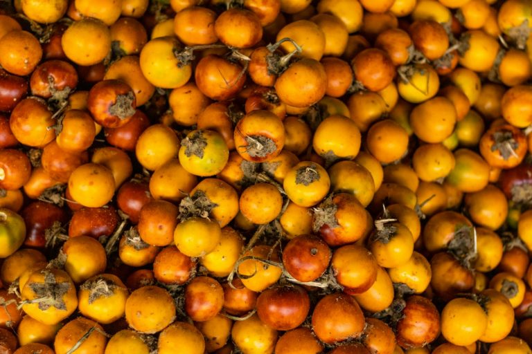 15 Best Health Benefits of Nance for Women