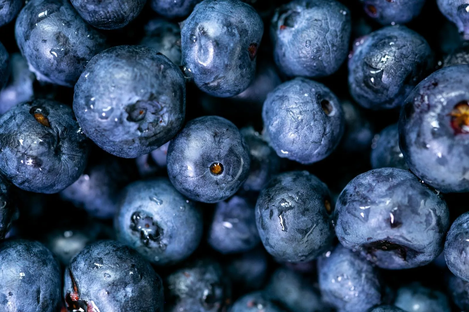 Are Blueberries Safe for People with Diabetes? 1 blueberries