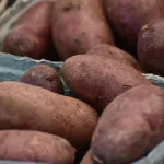 17 Vital Benefits of Sweet Potato for Your Health