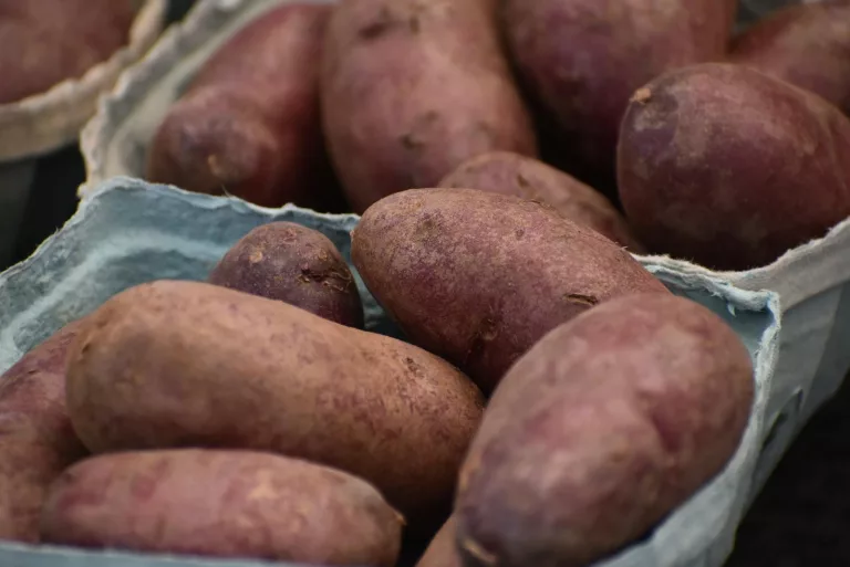17 Vital Benefits of Sweet Potato for Your Health