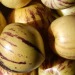 15 Best Health Benefits of Pepino for Children