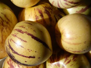 15 Best Health Benefits of Pepino for Children