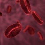13 Fascinating Facts About the Human Immune System