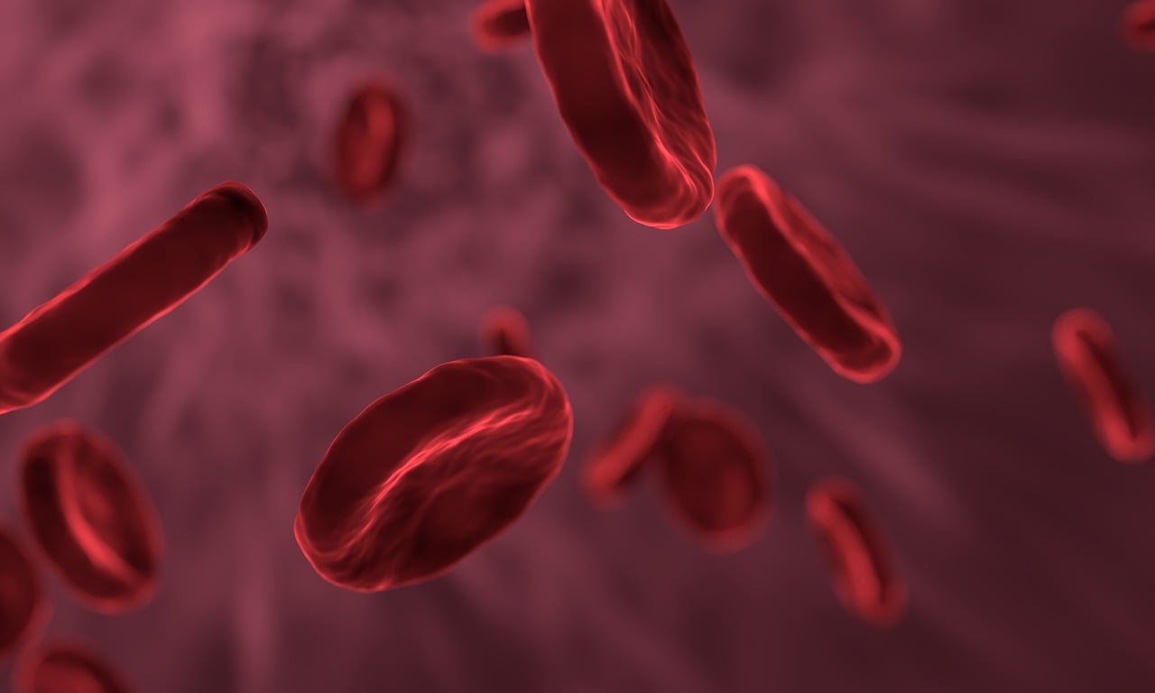 13 Fascinating Facts About the Human Immune System 1 red blood cells