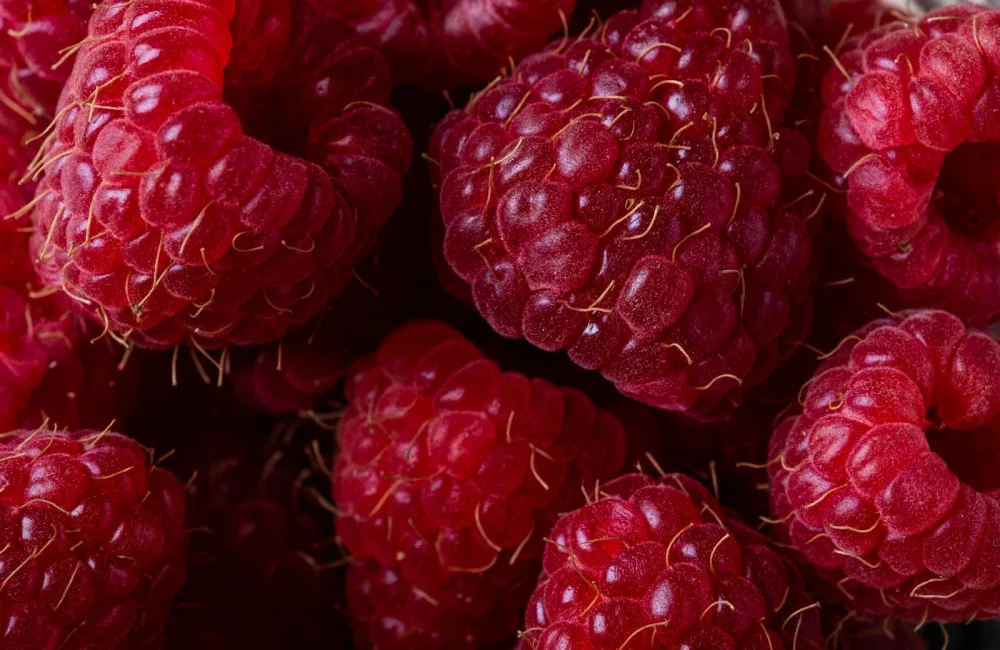 Red Raspberries