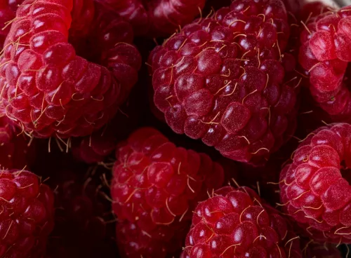 Red Raspberries