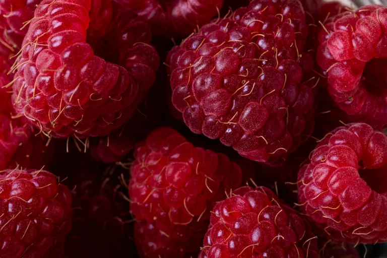 18 Antioxidant Benefits of Red Raspberries
