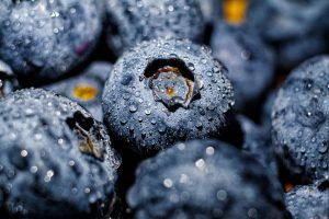 14 Best Health Benefits of Blueberry for Children