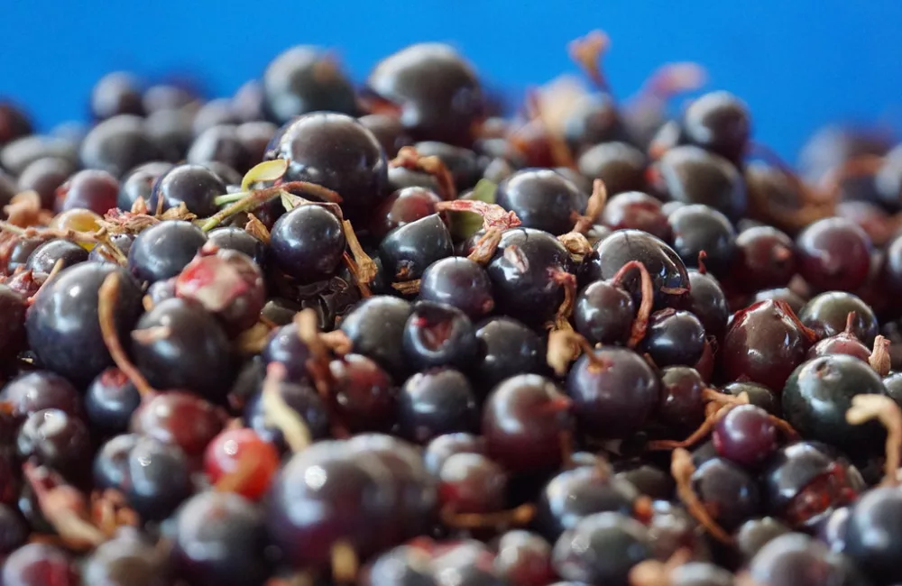 38d0a567 b146 466d bb0c ef84b1609ebe 1