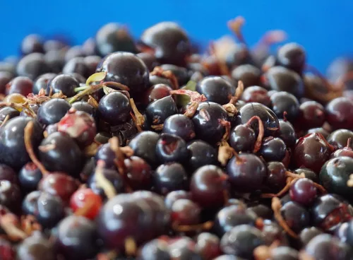 38d0a567 b146 466d bb0c ef84b1609ebe 1