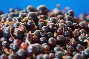 10 Best Health Benefits of Blackcurrant for Men