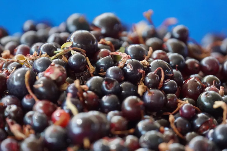 10 Best Health Benefits of Blackcurrant for Men