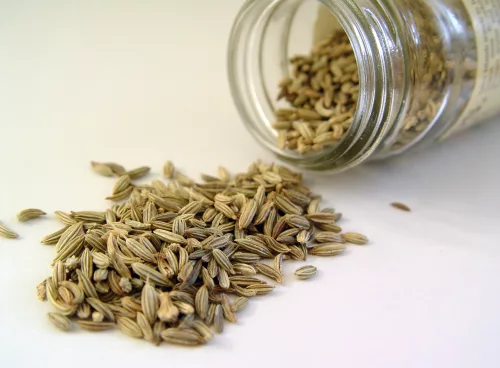 Fennel seed