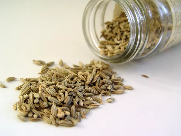 15 Digestive Benefits of Fennel Seeds