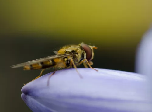 4754d8e0 e727 4f3e ba55 1adcd2deb35f 1