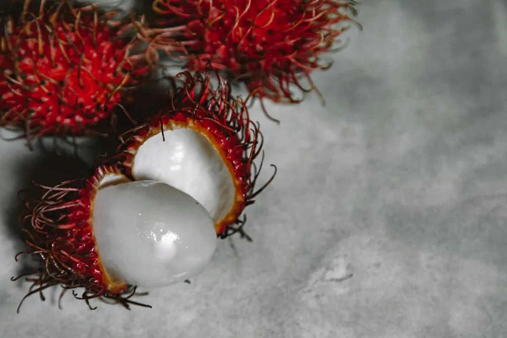 15 Best Health Benefits of Rambutan 1 15 Best Health Benefits of Rambutan