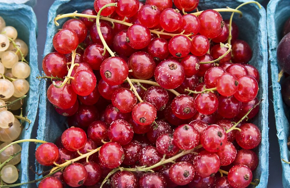 red currants