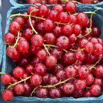 14 Best Health Benefits of Red Currant for Children