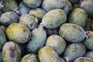 13 Best Health Benefits of Feijoa for Men