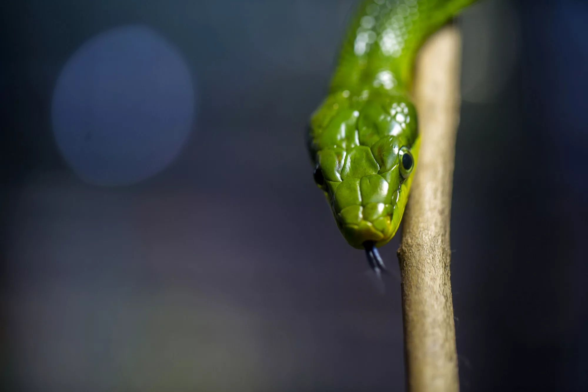 6257a848 844c 44fe b7f4 775c3cf12f2d 1