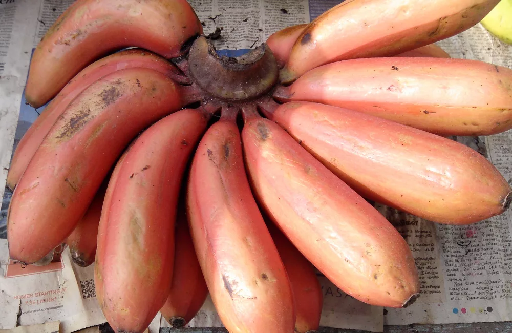 6275c275 407a 4afa 8cf0 a4cf70dba49b