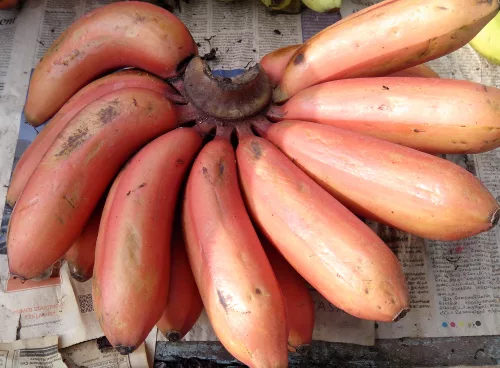 6275c275 407a 4afa 8cf0 a4cf70dba49b