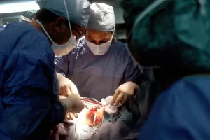 Xenotransplantation: Exploring the Promise and Challenges of Animal-to-Human Organ Transplants