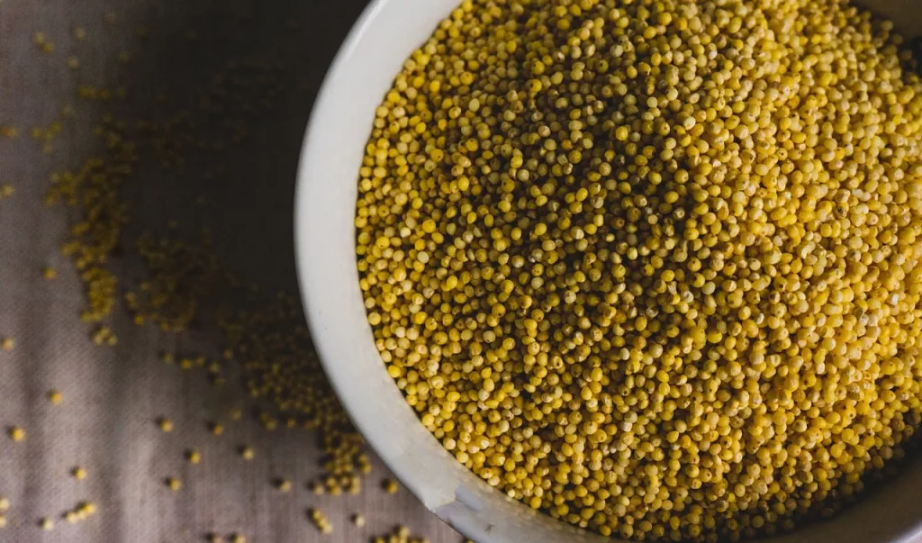 15 Amazing Health Benefits of Millet 1 15 Amazing Health Benefits of Millet