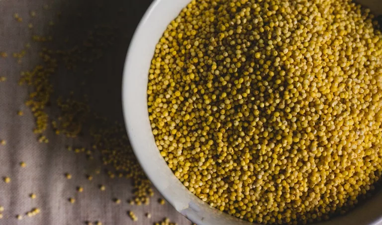 15 Amazing Health Benefits of Millet