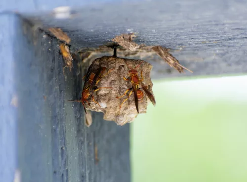 76027f9b 3713 468d 9d1d 92e0614f5cdf 1