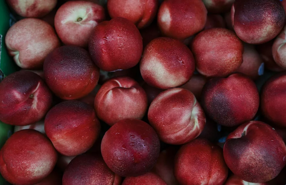 nectarines
