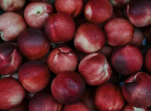 nectarines