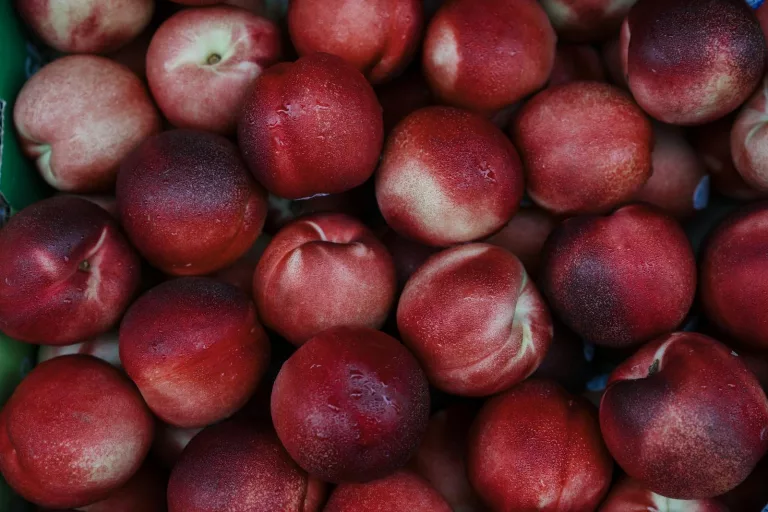 15 Best Health Benefits of Nectarines