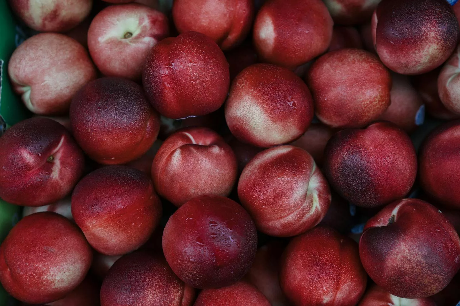 nectarines
